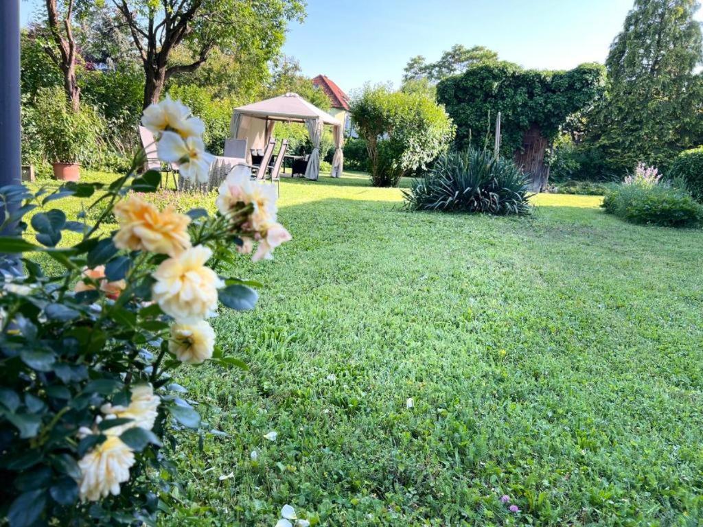 Appartment Rosengarten บาเดน ภายนอก รูปภาพ